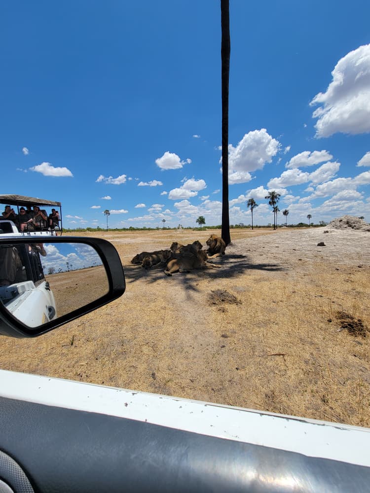 Game Drive