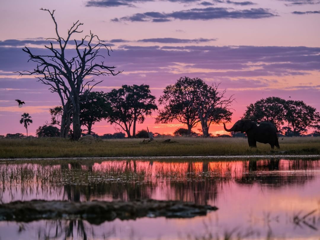 What colour should you wear on safari?