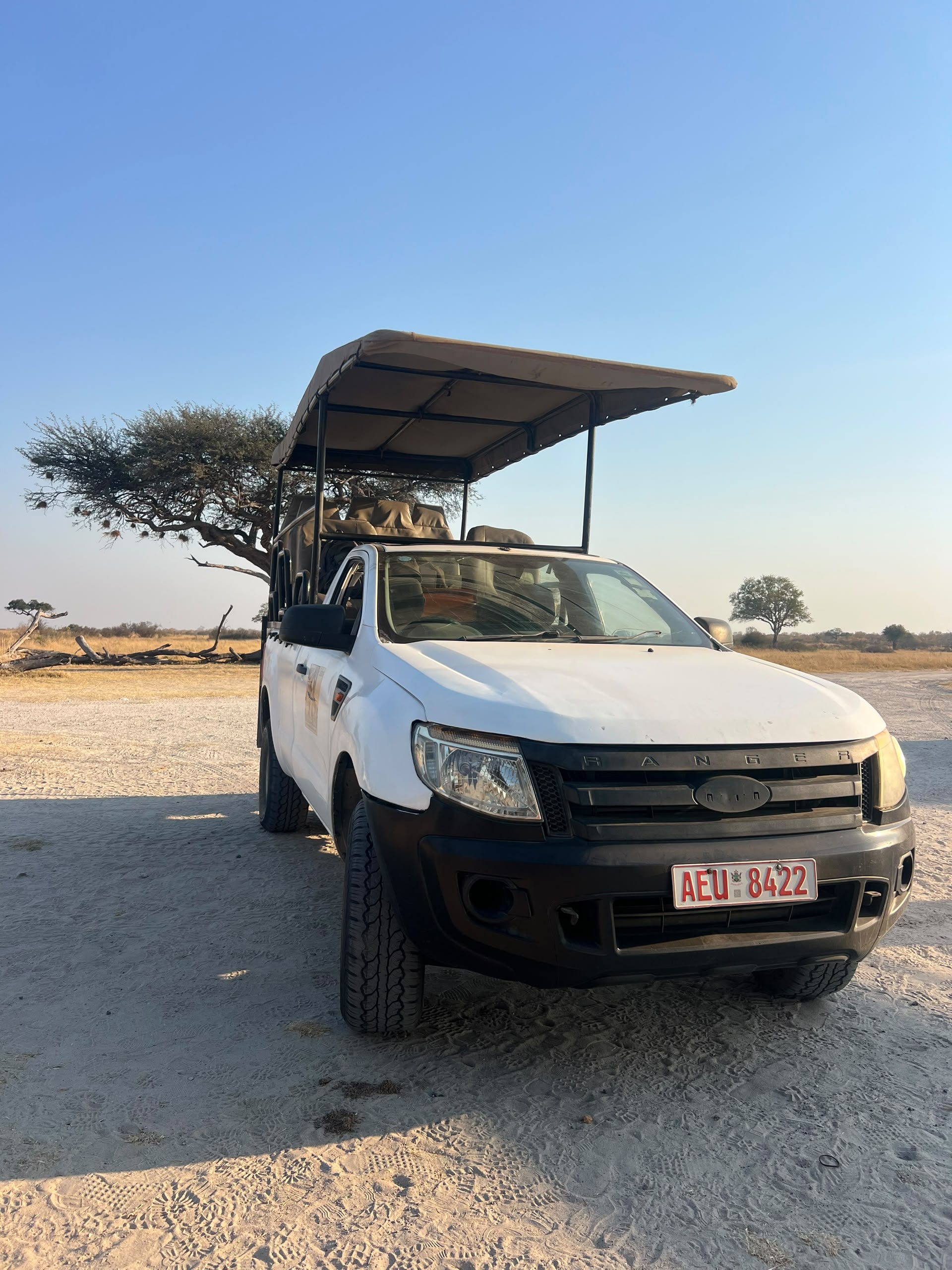 Wildlife sightings from this week’s game drives